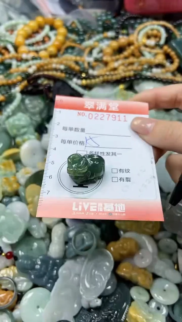 颈饰未镶嵌翡翠闪购0227911