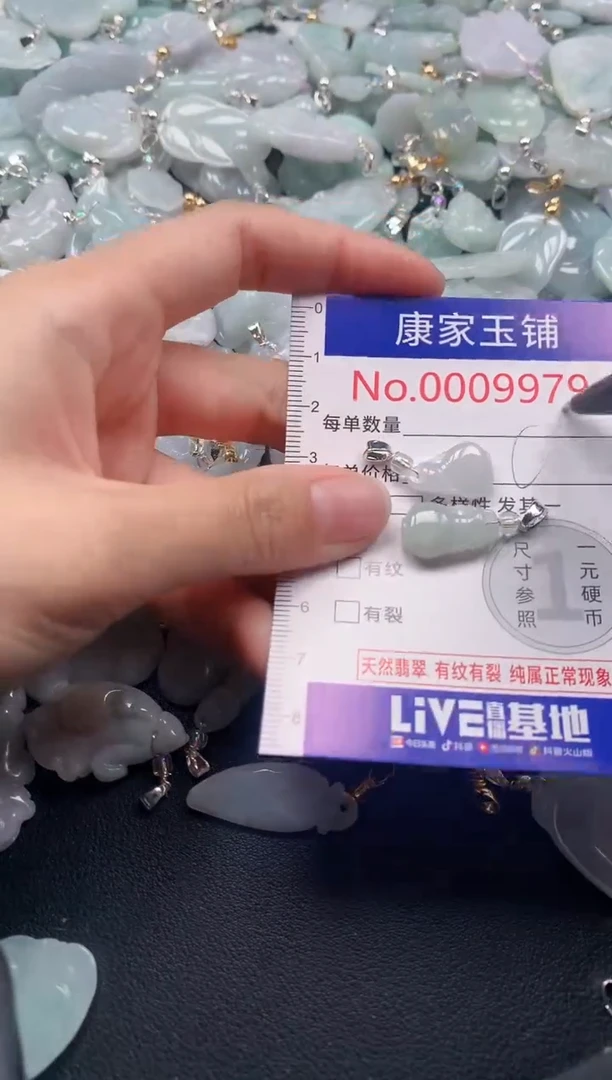 颈饰未镶嵌翡翠9979