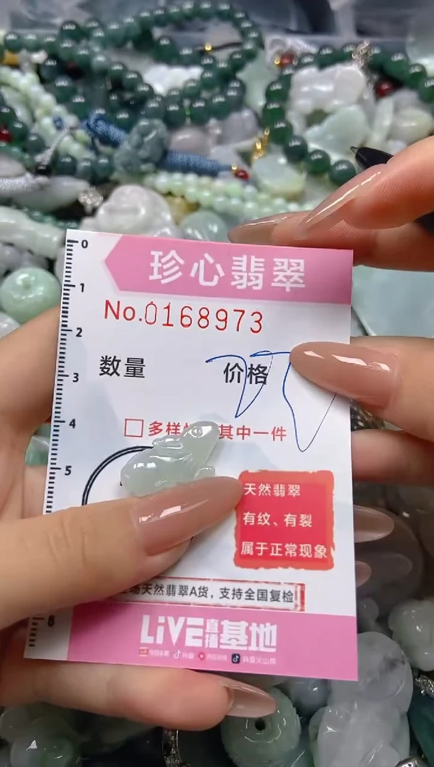【闪购商品】翡翠颈饰未镶嵌闪购0168973