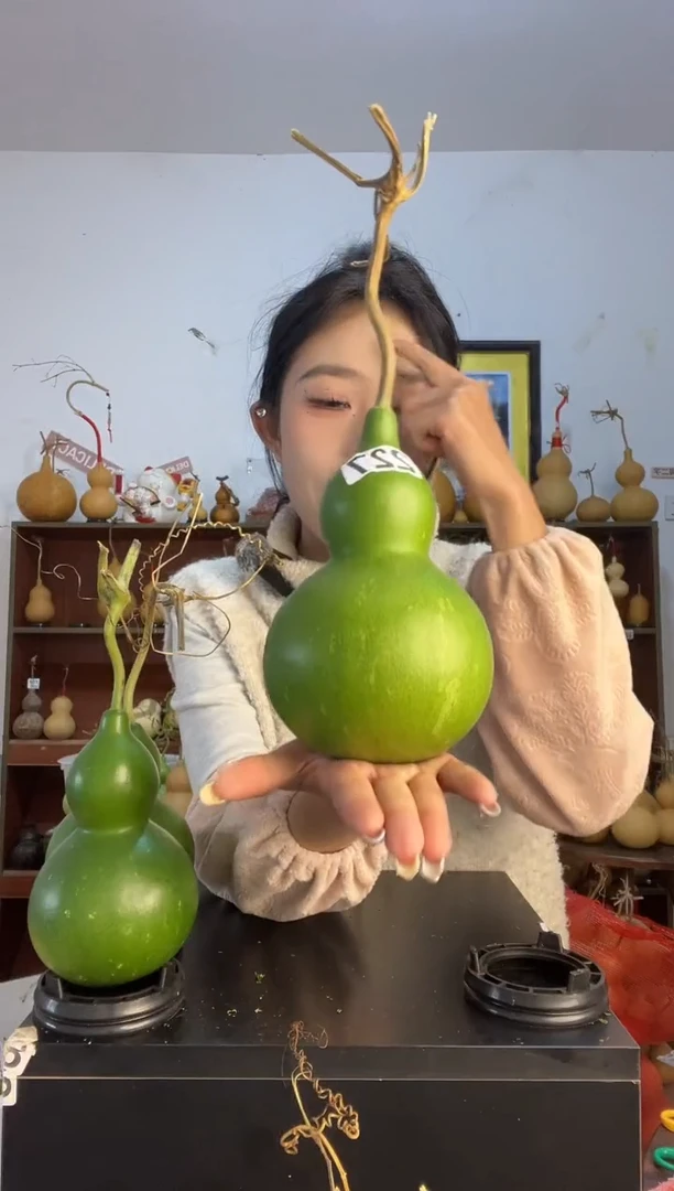 227天然葫芦摆件 一物一拍龙头不保售后