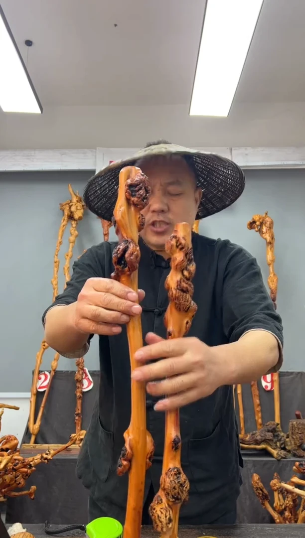 【闪购商品】黑果木其他黑果木799