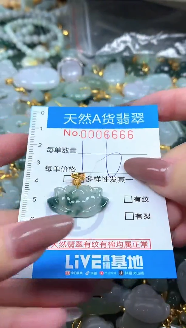 颈饰未镶嵌翡翠净货挂件-6666