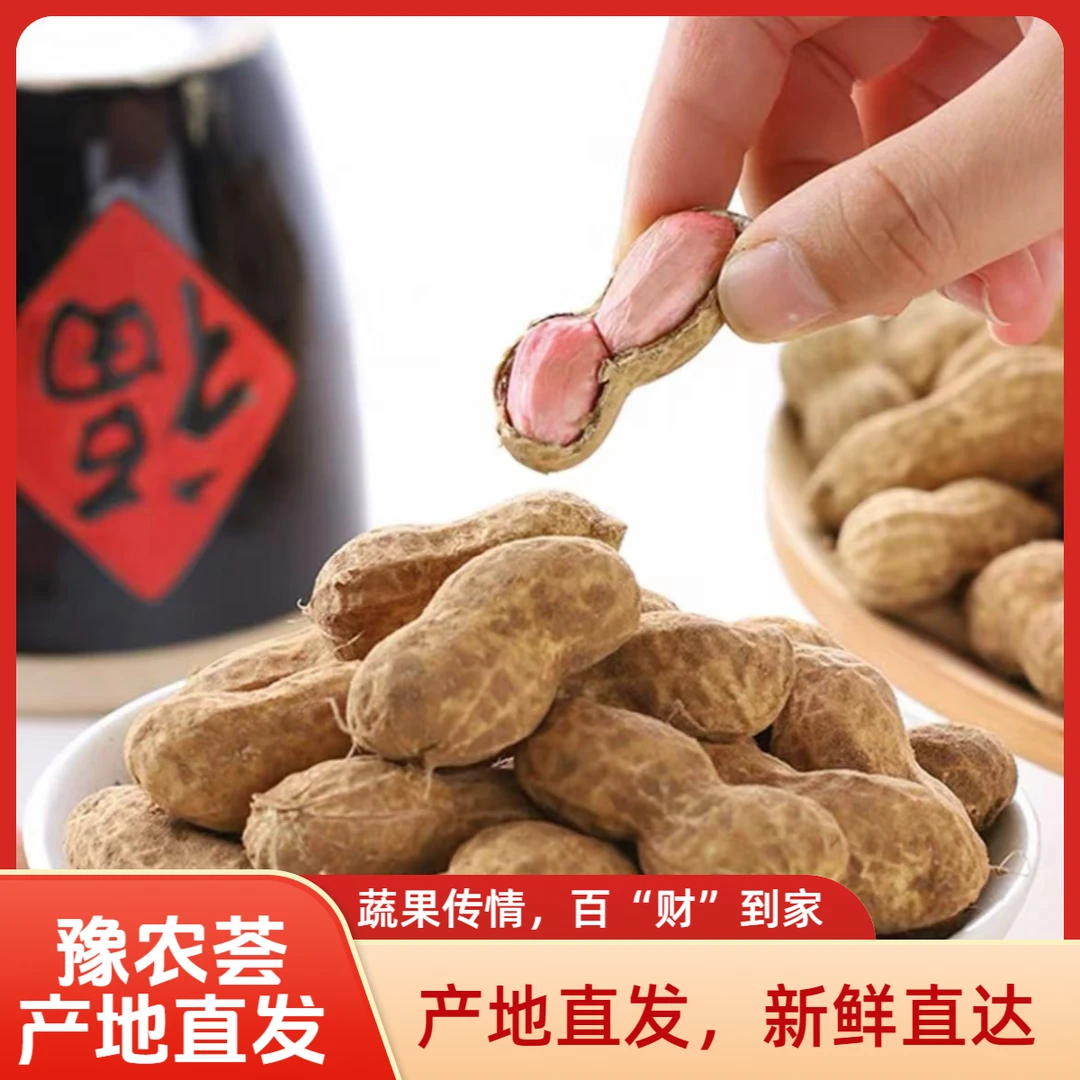 【精品手挑果】2025开封沙地鲜花生带壳粉皮大颗粒农家种植产地直发