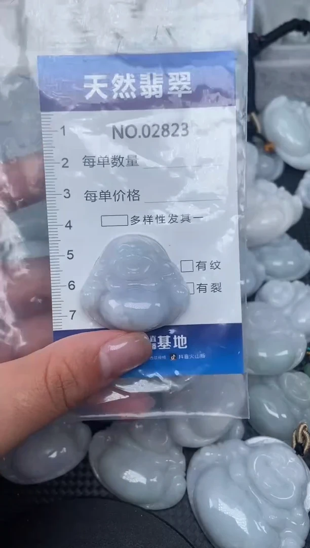 颈饰未镶嵌翡翠纯天然A货翡翠2823