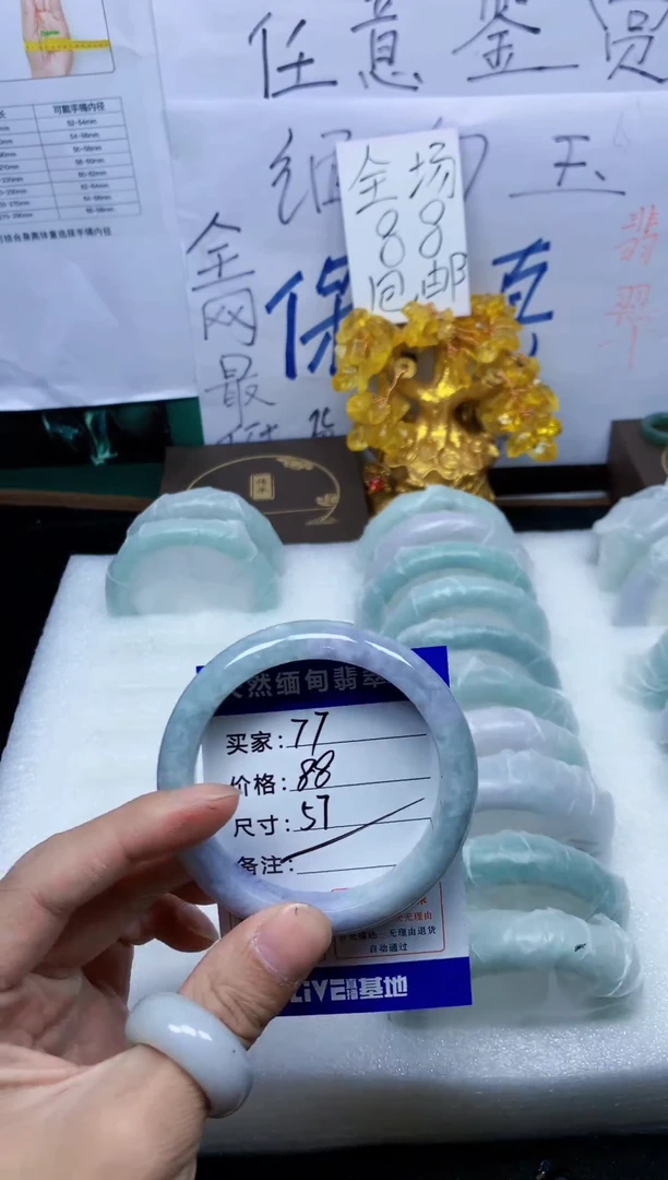 未镶嵌手镯翡翠77