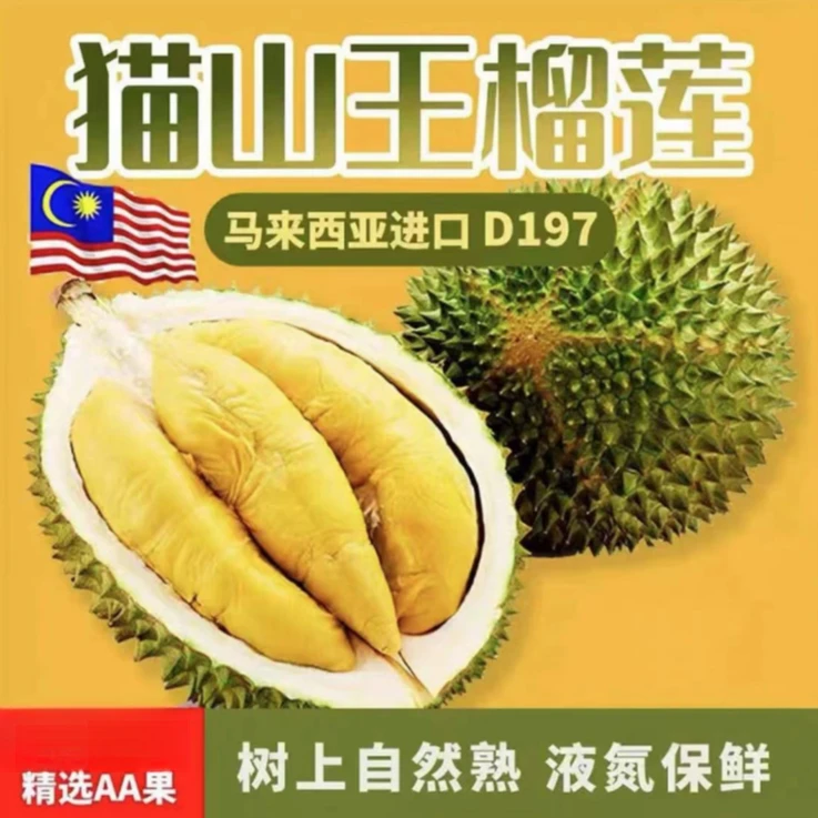 【D197猫山王】马来西亚液氮冷冻猫山王榴莲 自然树熟 保五房保出肉