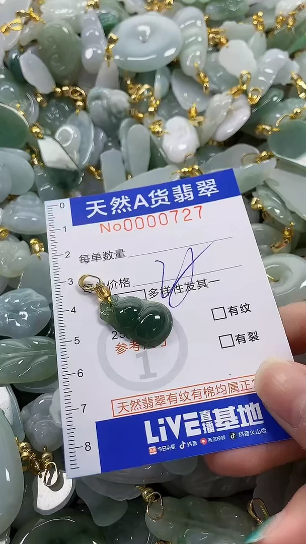 颈饰未镶嵌翡翠纯天然货翡翠