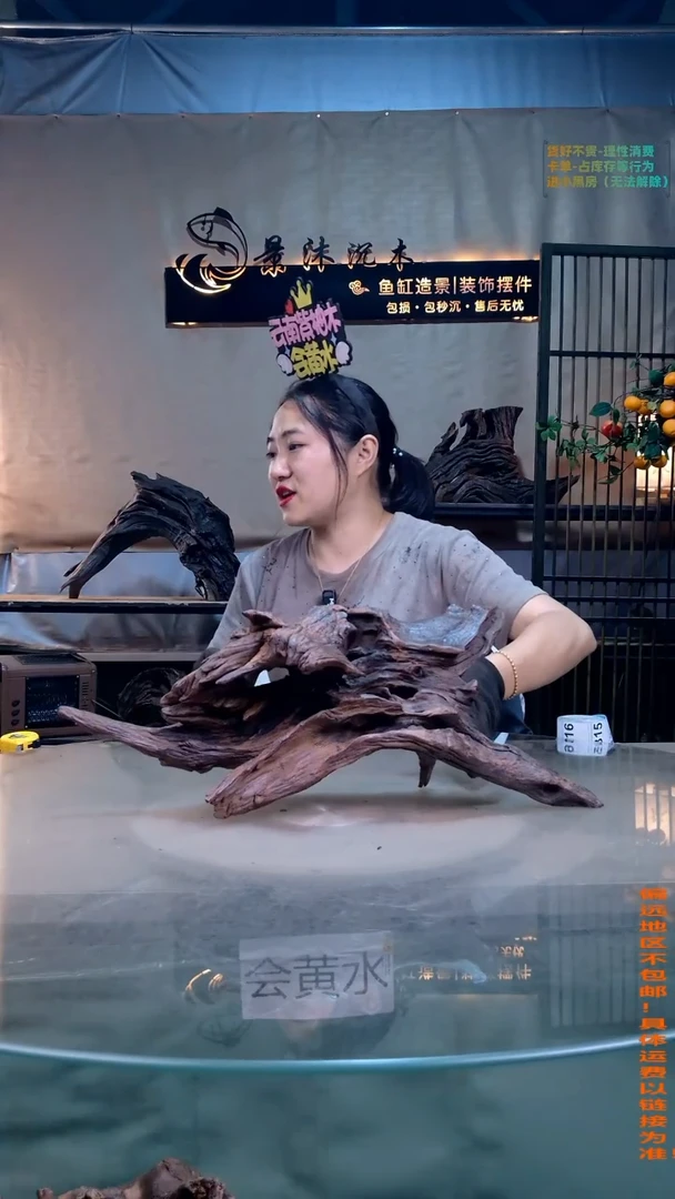 摆件景沐沉木B312 52-15-22