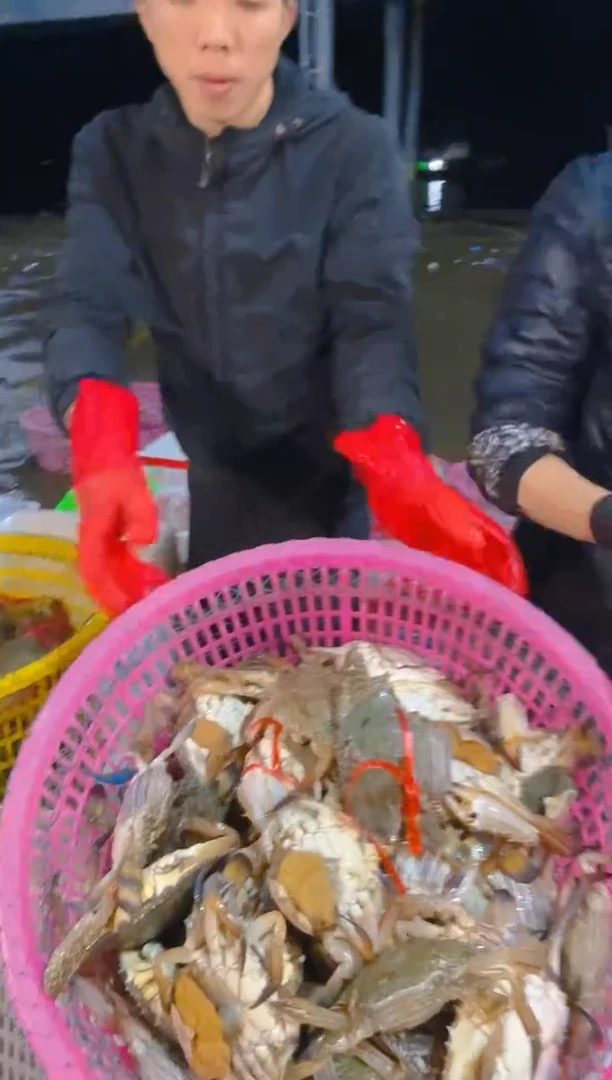 中国大陆泳母次品兰花111111111111111111