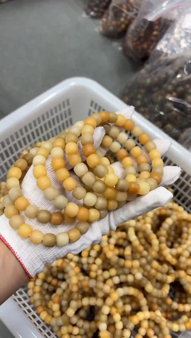 手串菩提根/象牙果1.0干磨瑕疵不挑（724）