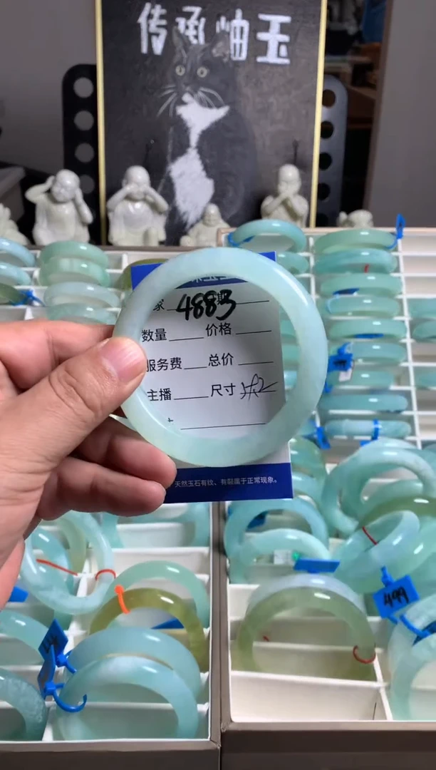 蛇纹石玉未镶嵌手镯4883