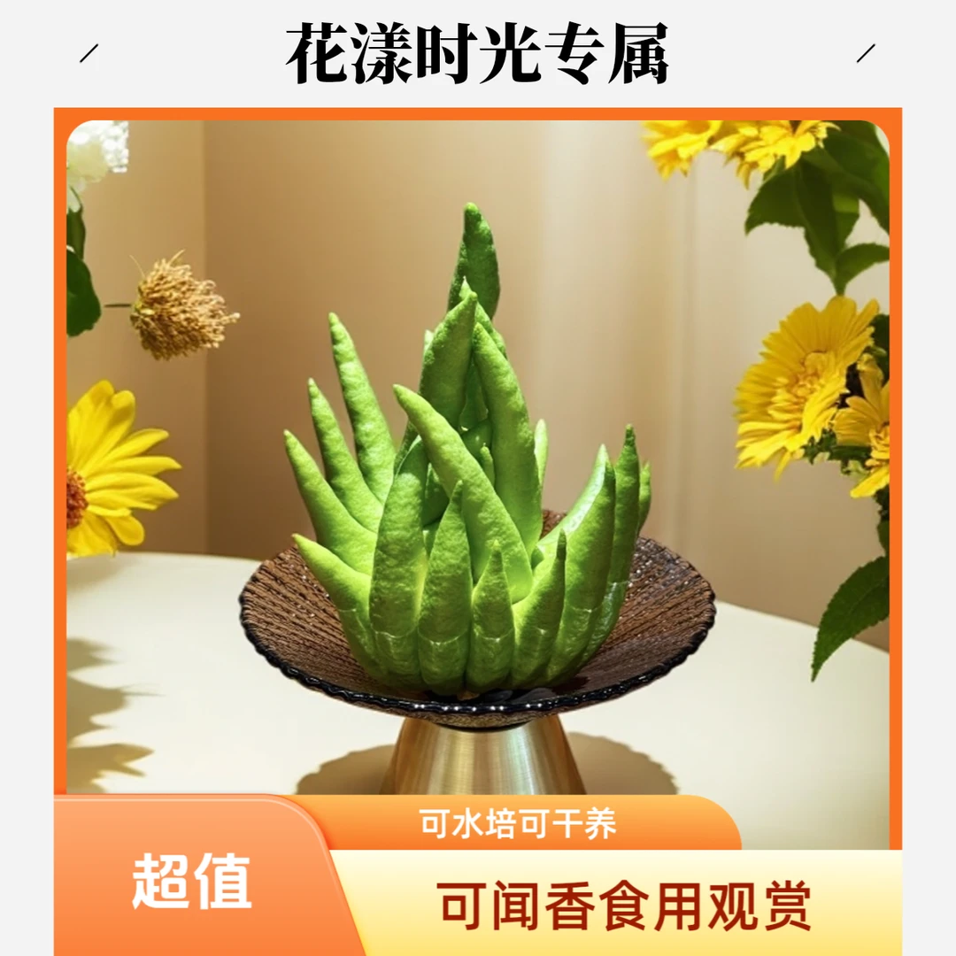 云南基地新鲜采摘佛手柑轻微瑕疵不售后，介意勿拍