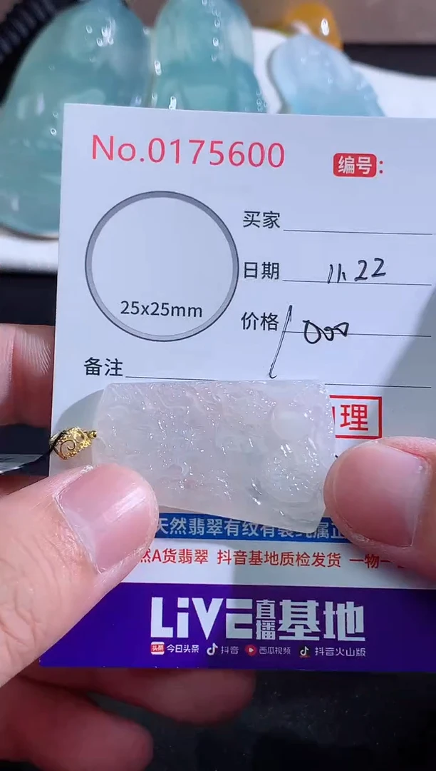 颈饰未镶嵌翡翠小*虫！