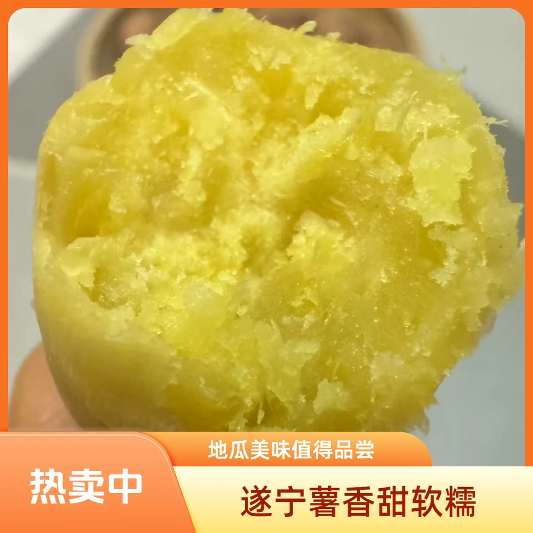 （四川遂宁）遂薯林524红薯香甜软糯美味特色种植