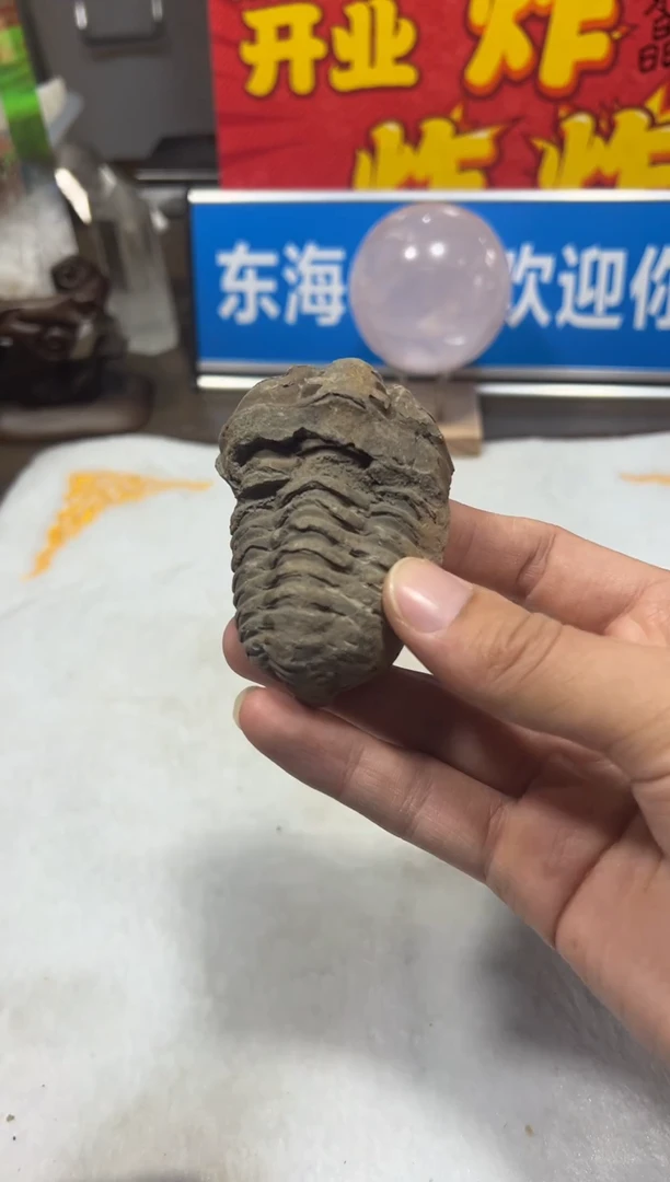 未镶嵌珠宝半成品水晶天然水晶默认微瑕169