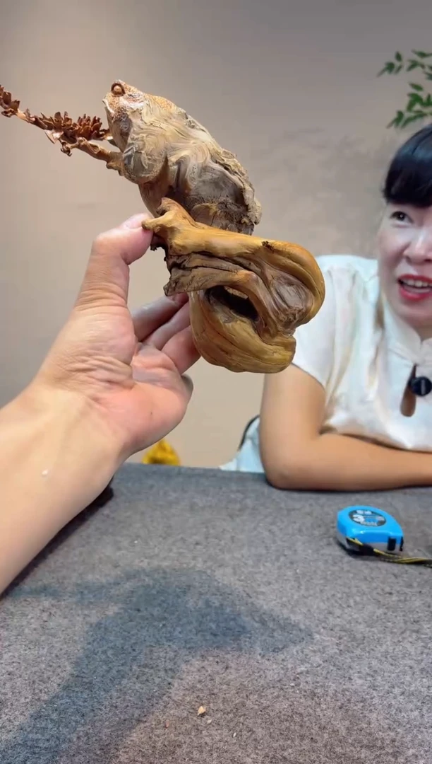 柏木（崖柏）崖柏崖柏