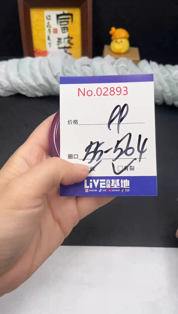 未镶嵌手镯翡翠拍下以实物为准2893
