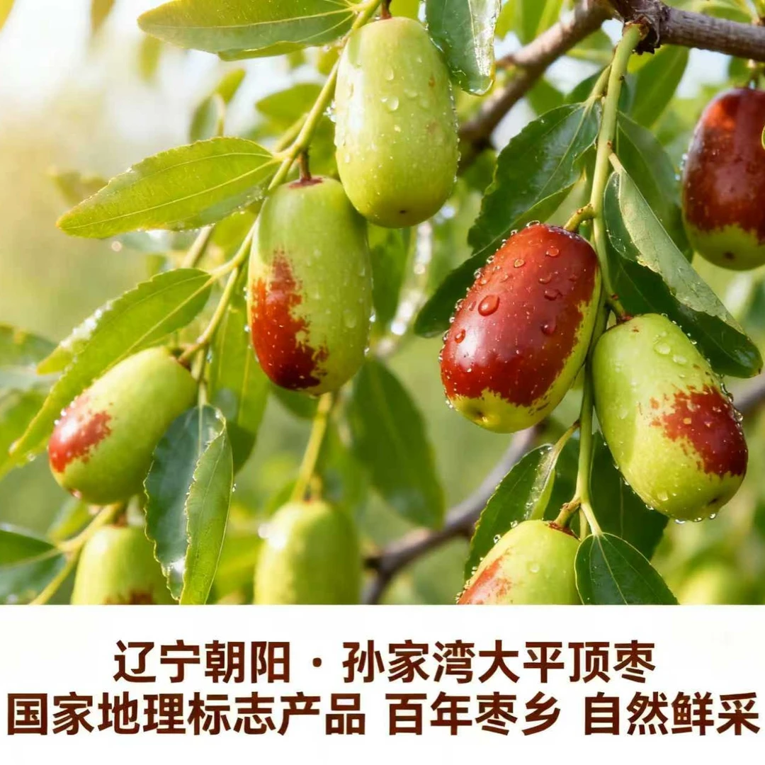 【孙家湾头茬鲜枣】大平顶枣百年枣乡自然鲜采 臻选大果