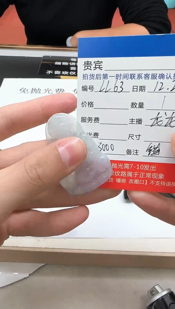 未镶嵌定制翡翠LL63翡翠吊坠赠珠链-多样性发其一