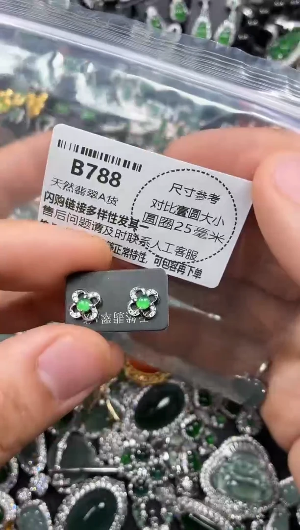 颈饰未镶嵌翡翠B788耳钉