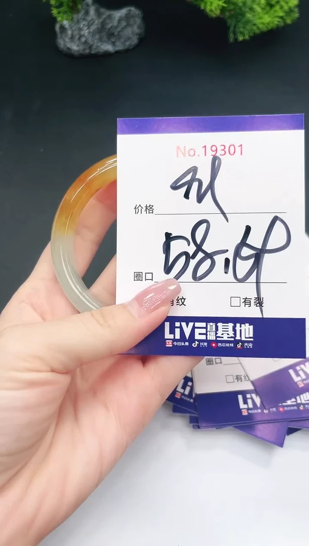 未镶嵌手镯翡翠19301