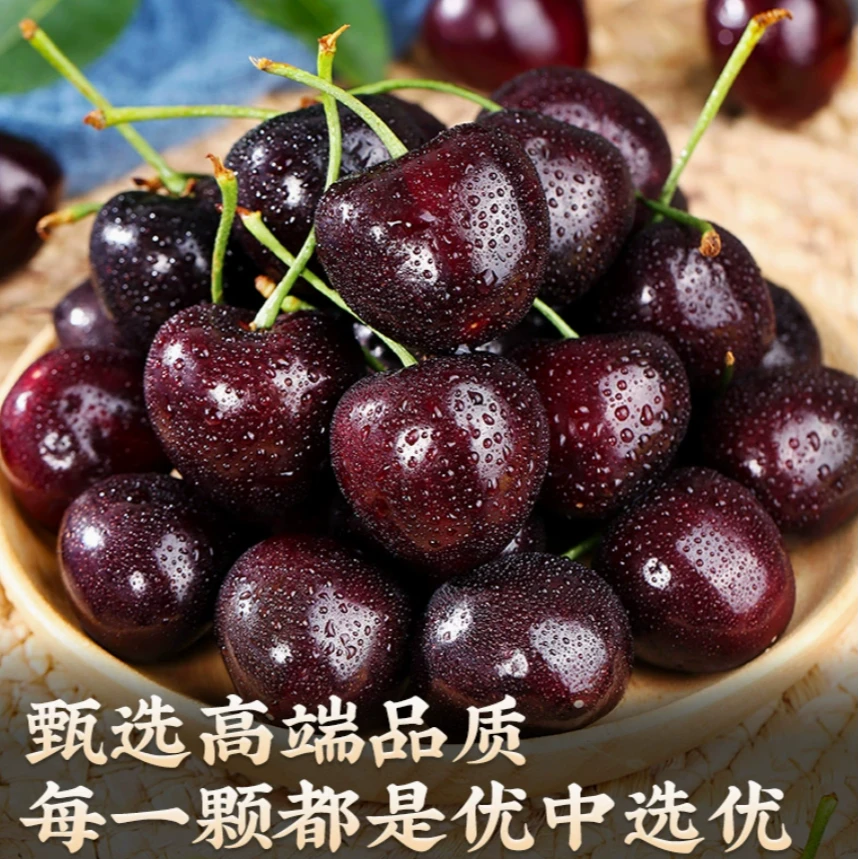 响购 海运 车厘子5斤装 3J