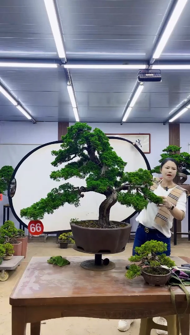 无花朵用****4000000