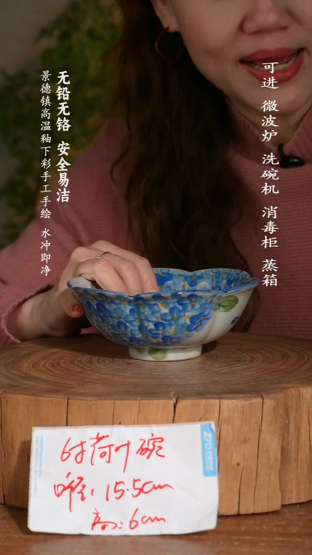 碗陶瓷景德镇高温瓷釉下彩手绘陶瓷