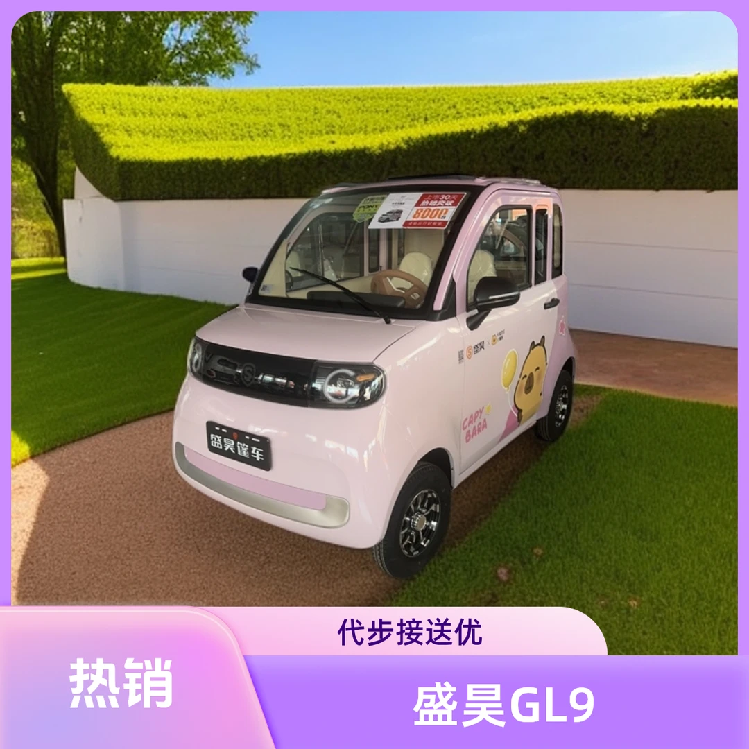 盛昊GL9四轮车小型四座电动车接送小孩可加装空调家用代步