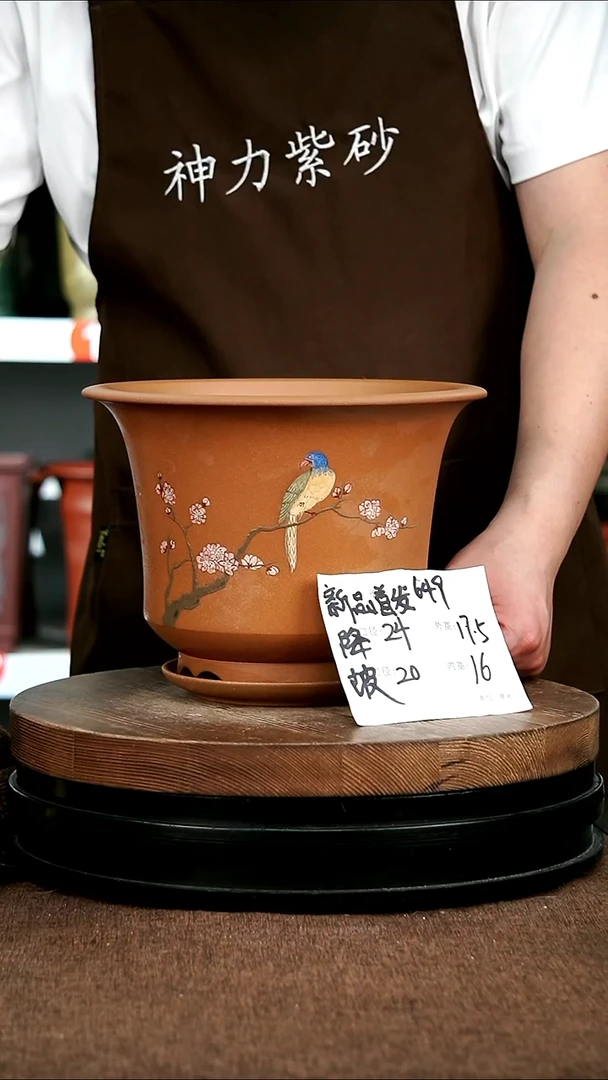 紫砂花盆花卉园艺649+Z