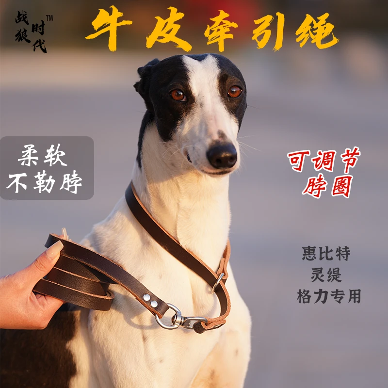 升级牛皮牵引绳柔软不勒脖可调节惠比特灵缇格力专用更结实更好用