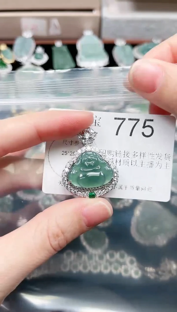 【闪购商品】翡翠颈饰未镶嵌775赠皮绳