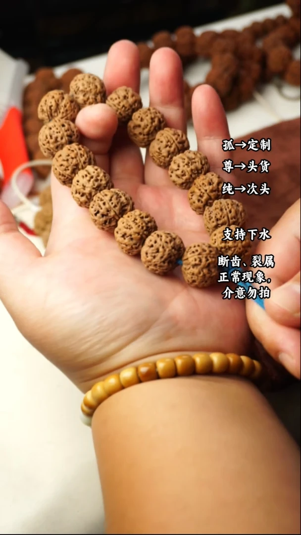 金刚菩提吊坠19-20尺寸蜂窝双龙大金刚手串