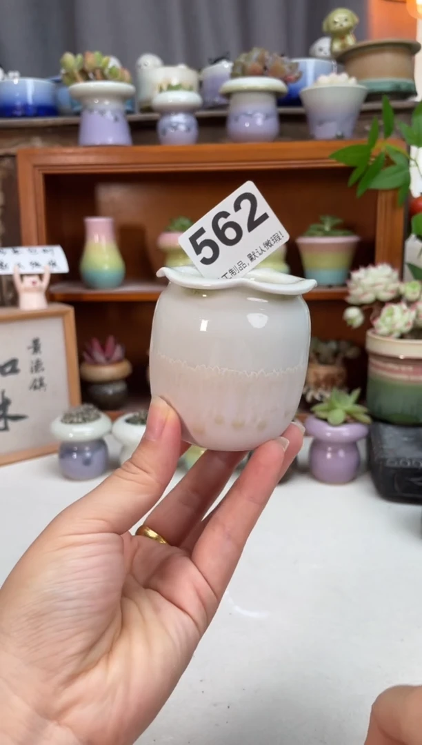 瓷片562知木小芳你花盆