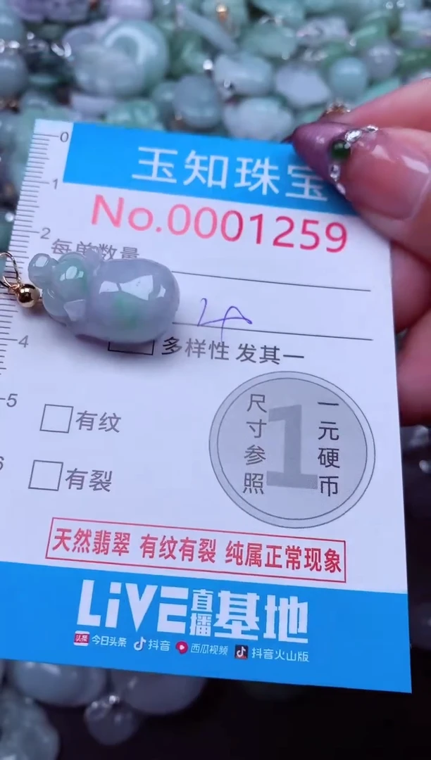 吊坠(不含链)未镶嵌翡翠1259