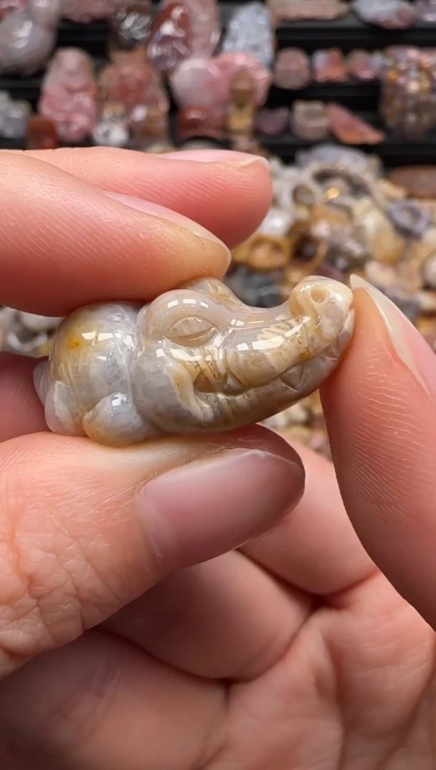 【闪购商品】硅化珊瑚（珊瑚玉）颈饰未镶嵌643