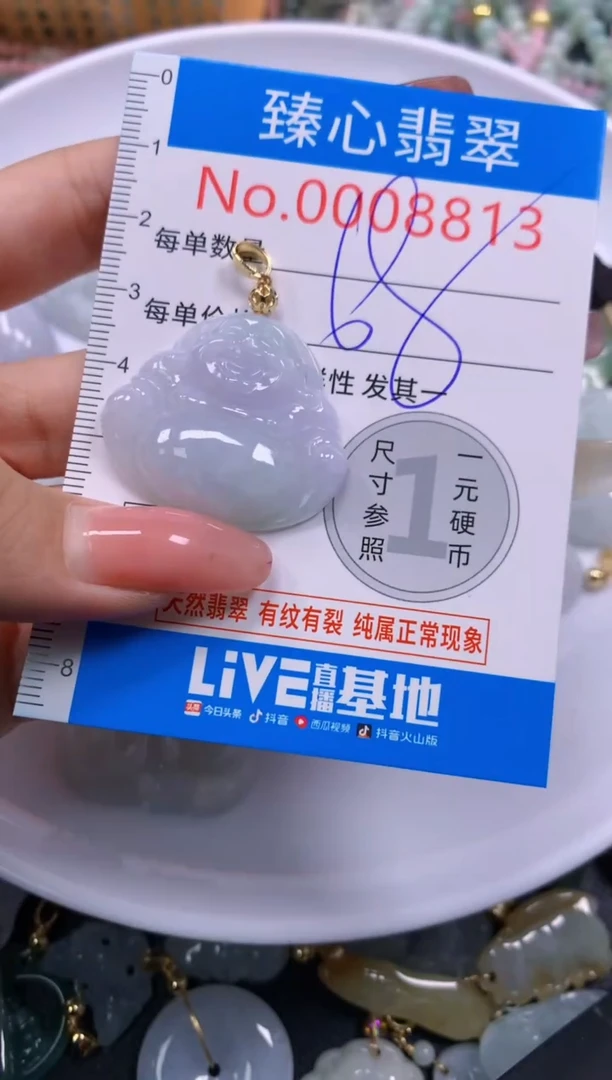 翡翠未镶嵌颈饰8813