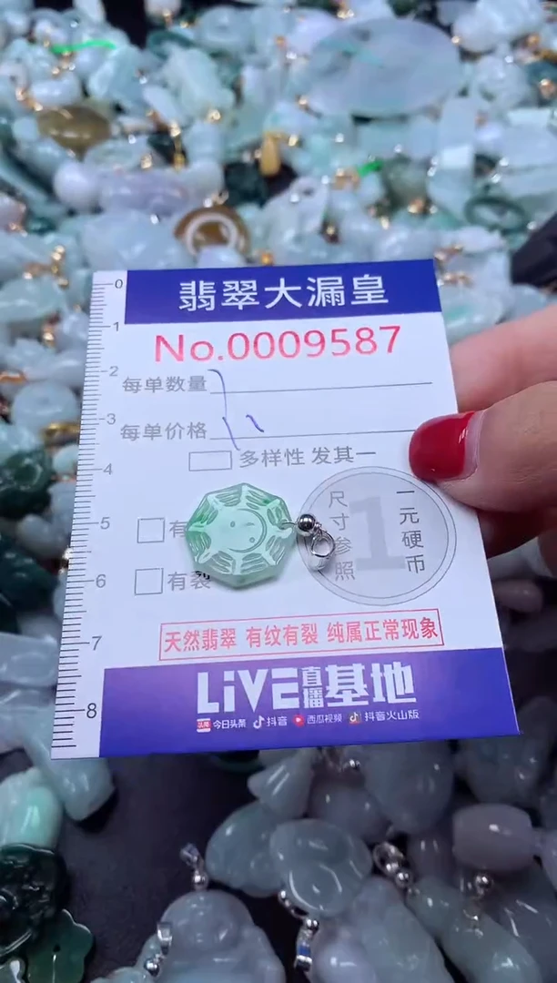 颈饰未镶嵌翡翠9587