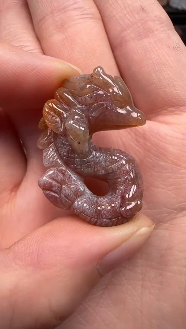 硅化珊瑚（珊瑚玉）未镶嵌颈饰539