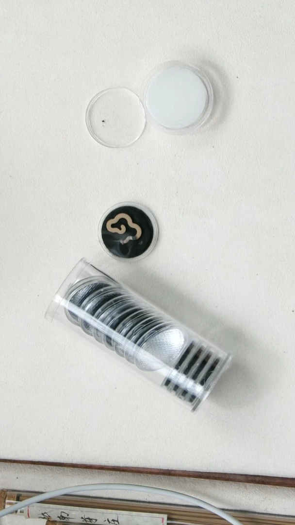 沉香沉香碎屑17片惠安无粘