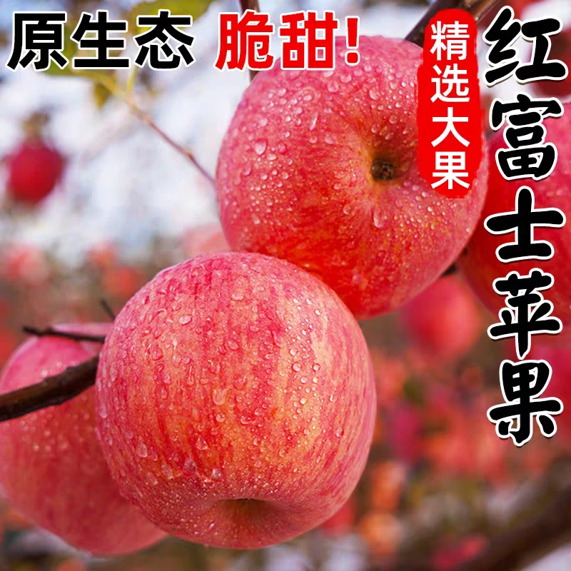 陕西洛川红富士苹果新鲜当季现摘脆甜多汁FF