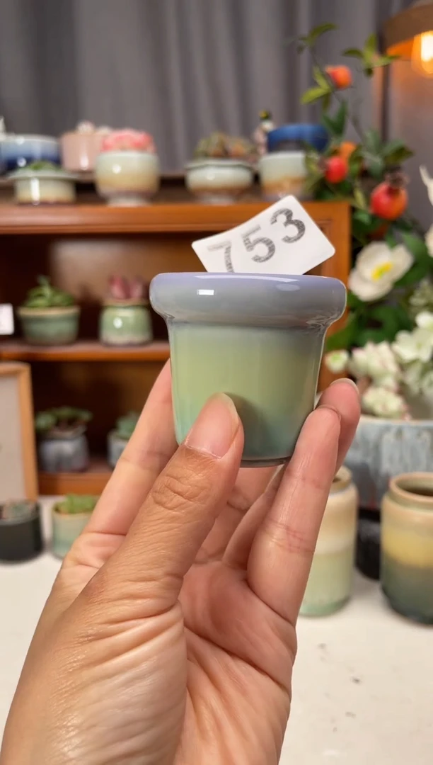 瓷片753知木小芳花盆