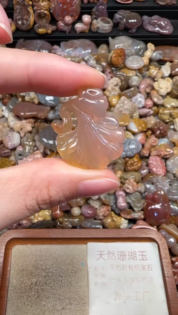 颈饰未镶嵌硅化珊瑚（珊瑚玉）855