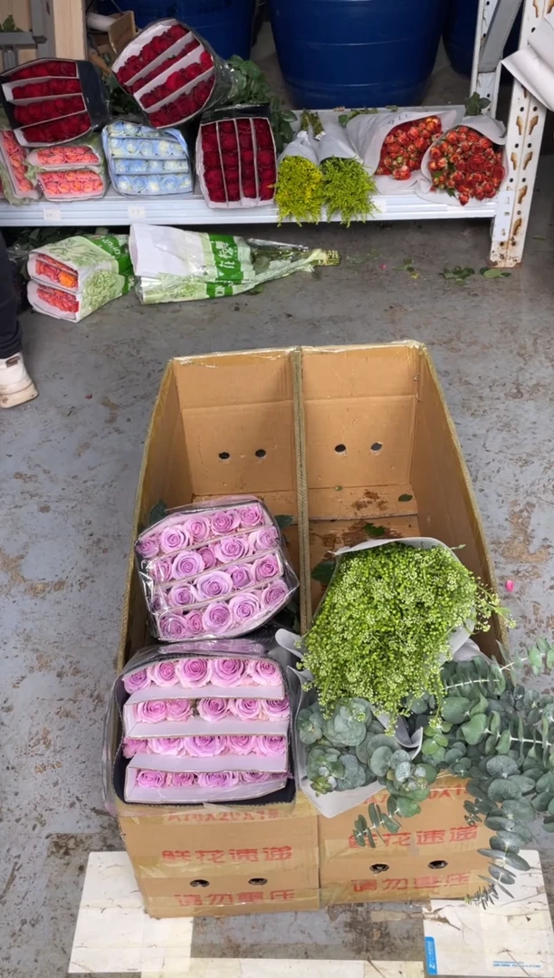 海洋之歌2扎+尤加利2扎+绿林草