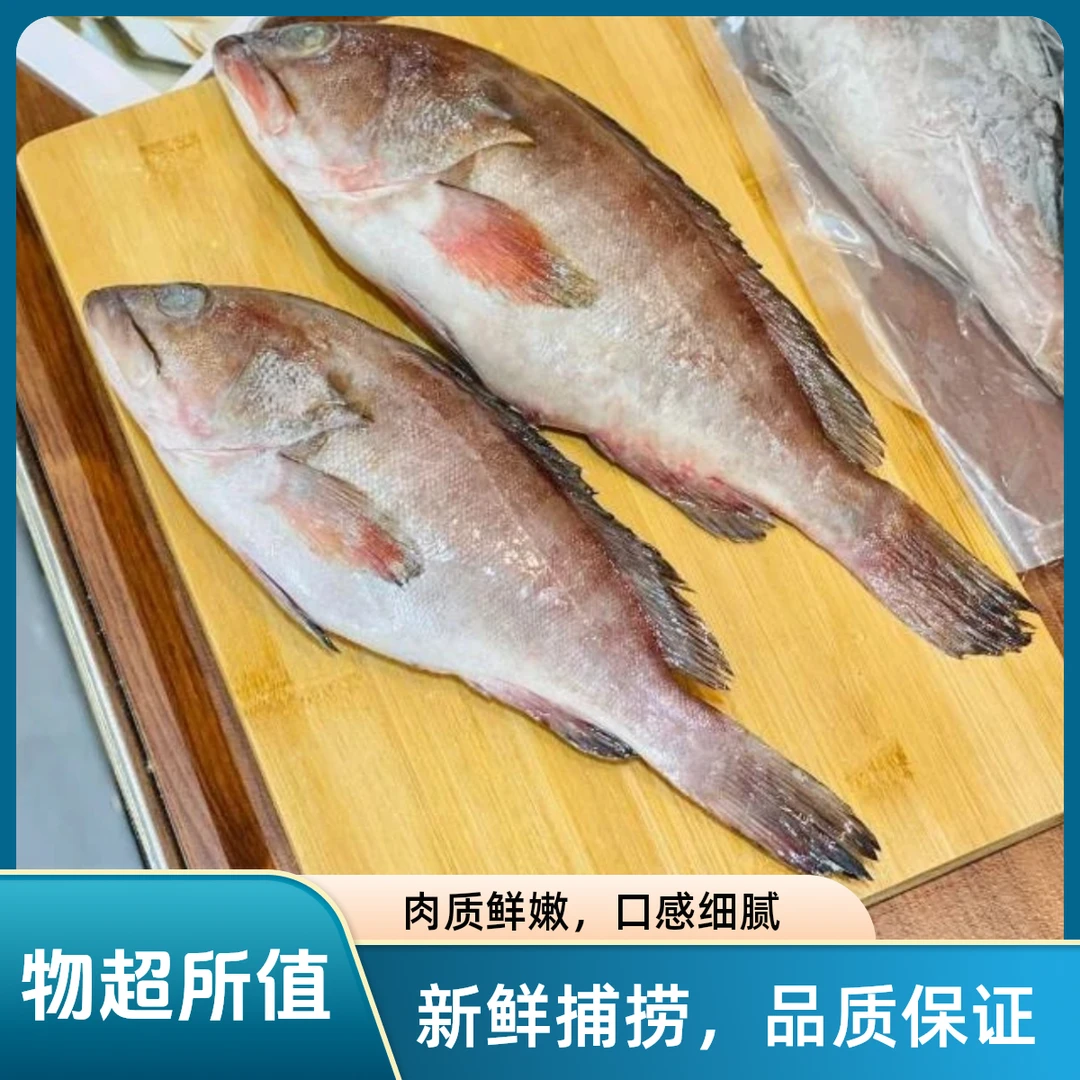 DS【4条装】新鲜速冻锁鲜石斑鱼深海捕捞石斑鱼单条7-8两