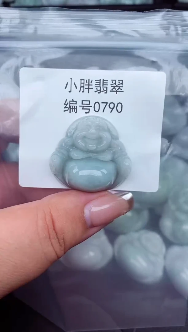 翡翠未镶嵌颈饰缅甸天然A货翡翠0790