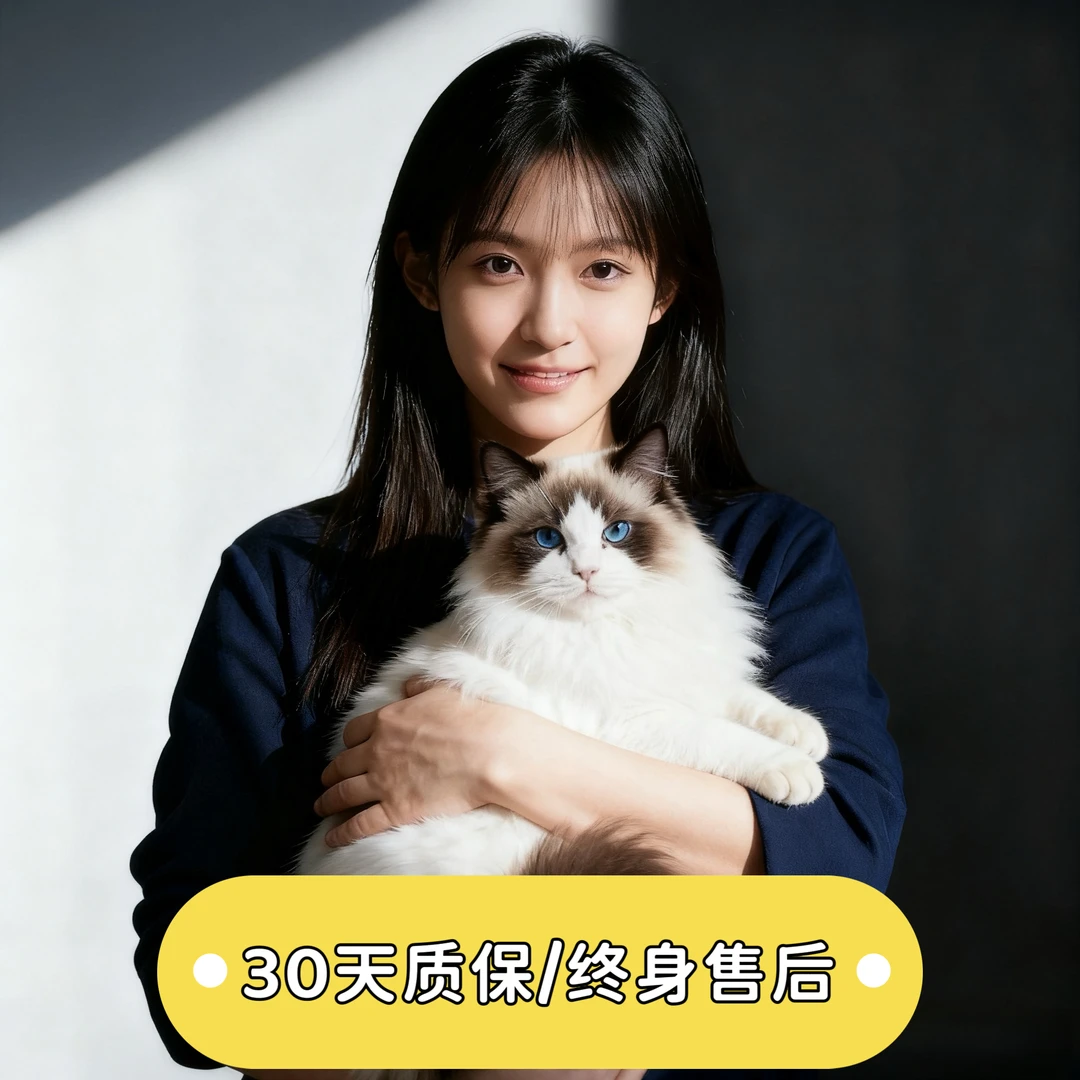 1888专属宠物猫活体-通用下单链接