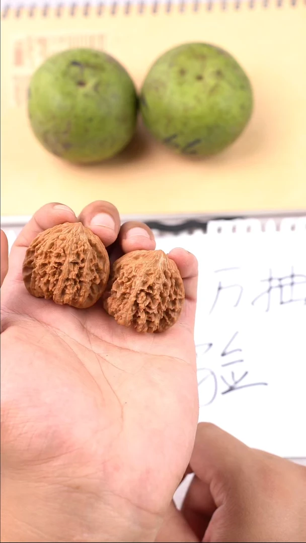 把件文玩核桃小*满天星