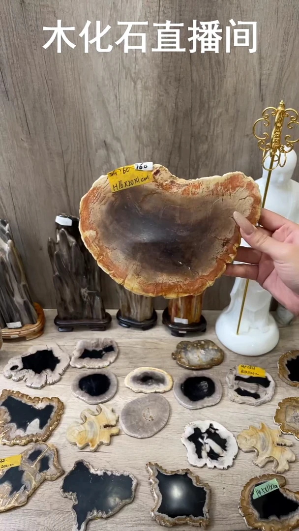 石材木化石小切片摆件