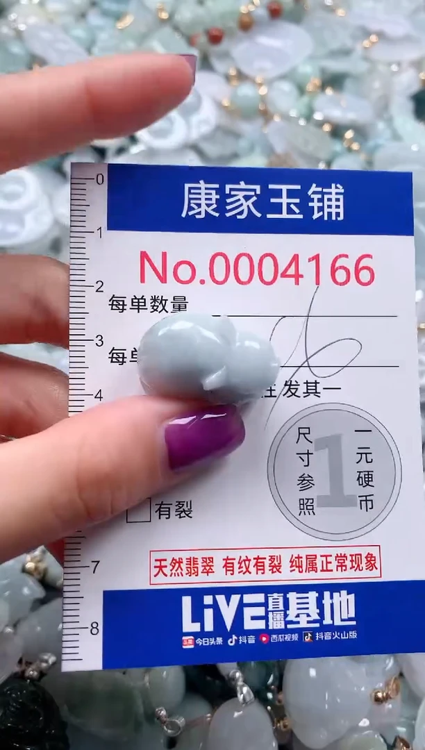 颈饰未镶嵌翡翠4166